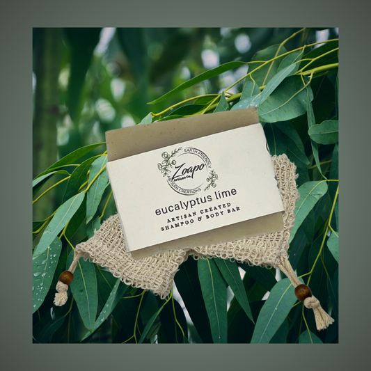 Eucalyptus Lime Shampoo (Hair and Skin) Soap